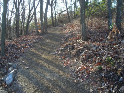 big  pocono scout trail rebuild 2010 001.jpg