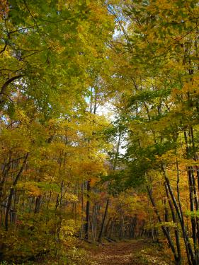 big pocono  highlands first frost 2010 009.jpg