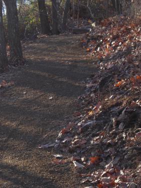 big pocono  highlands first frost 2010 021.jpg